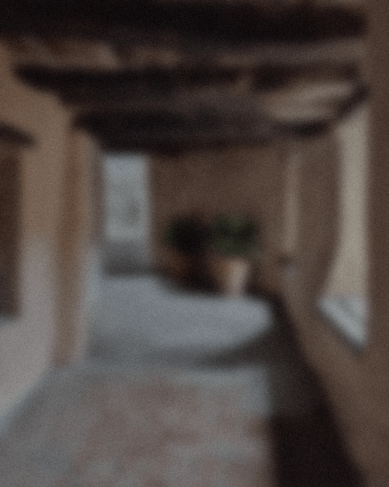 the organic laboratory - cover